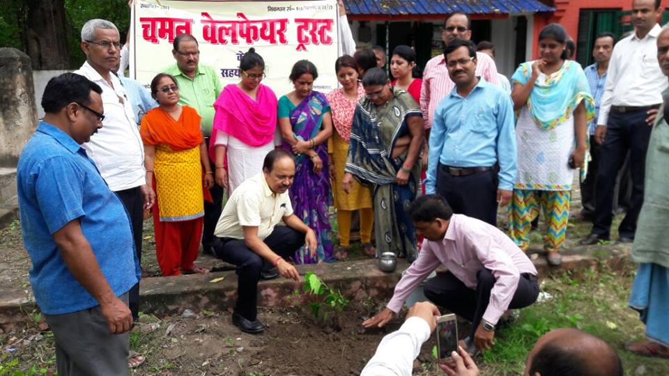 tree-plantation1