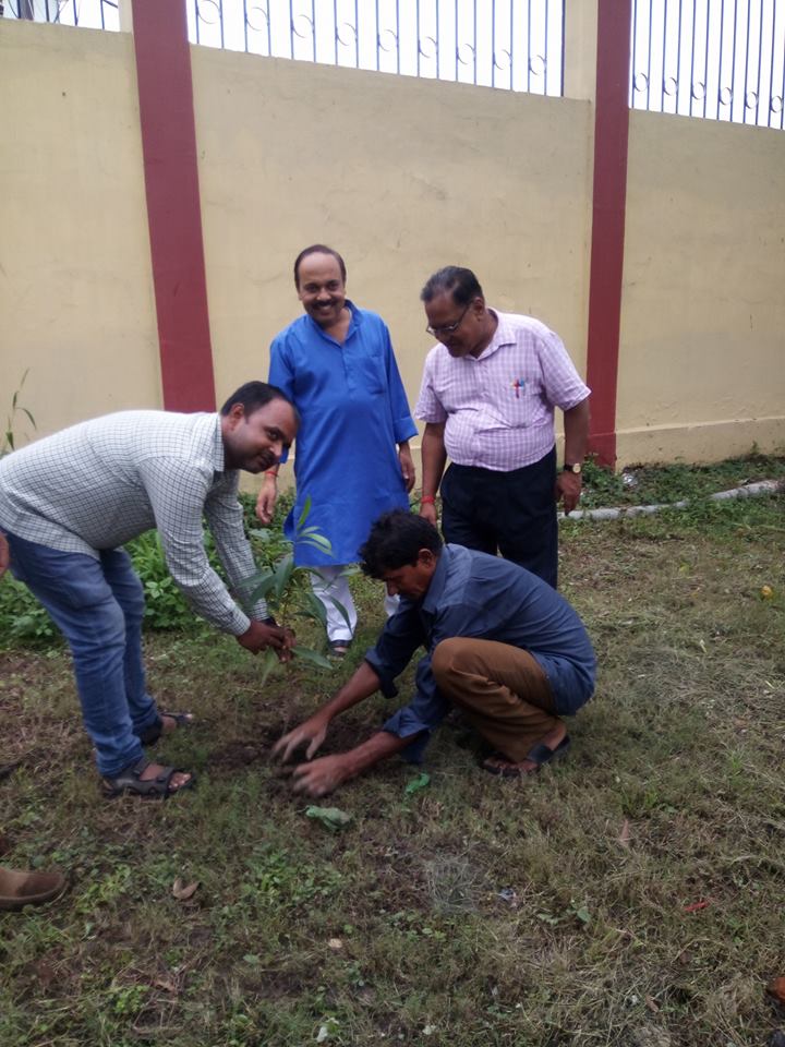 tree-plantation2