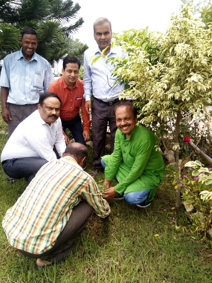 tree-plantation3
