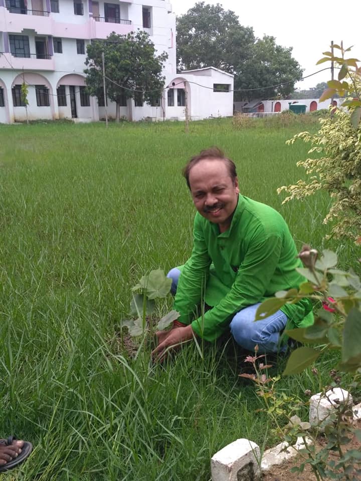 tree-plantation4