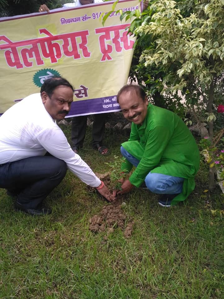 tree-plantation5