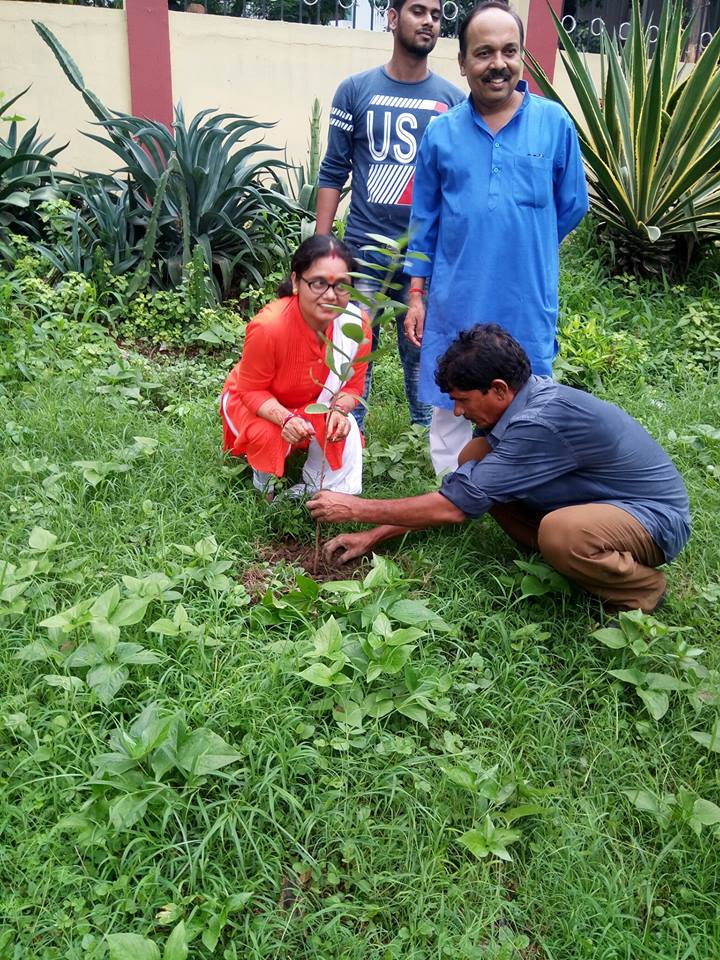 tree-plantation6
